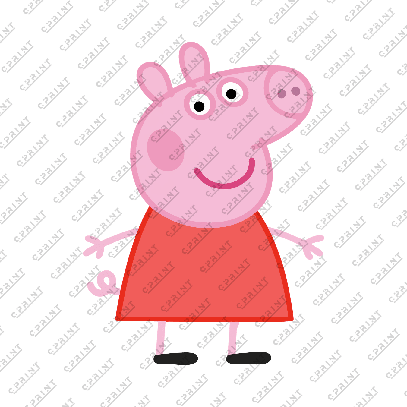 Pepa Pig Character